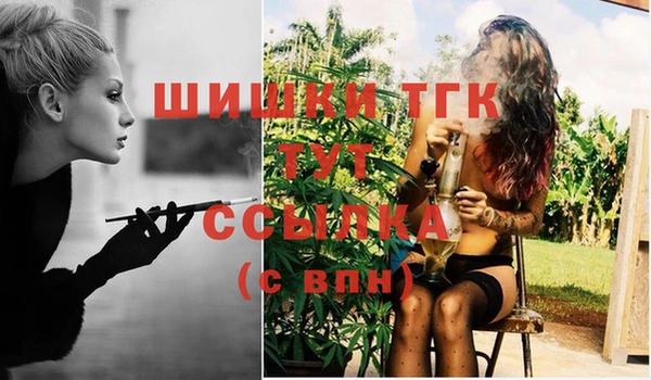гашик Алексеевка