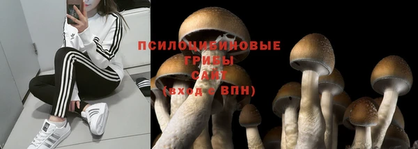 кокаин Алексин