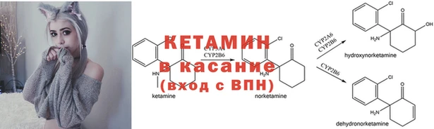 гашик Алексеевка