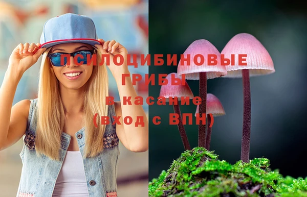 кокаин Алексин