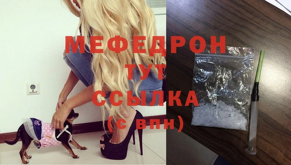 гашик Алексеевка
