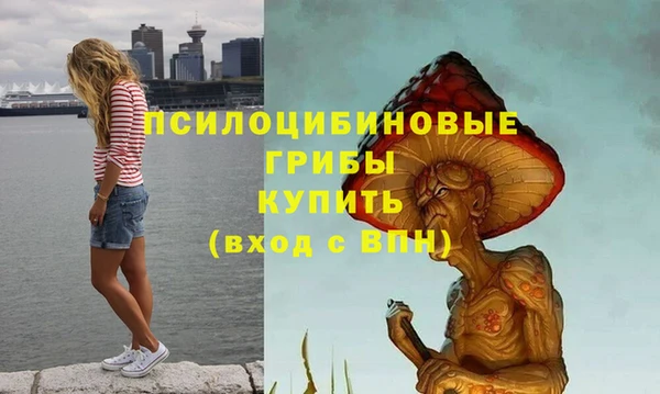 гашик Алексеевка